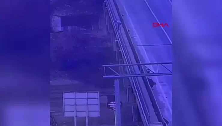 Tunceli’de Viyadükten Gölü’ne Atlayan Kişi Jandarma Tarafından Kurtarıldı