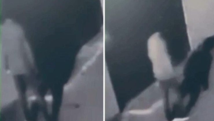 Türk bayrağını yaktı! 3 yıla kadar hapsi istendi