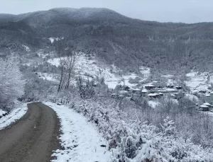 Türkeli’de Kar Yağışı Etkili Oldu