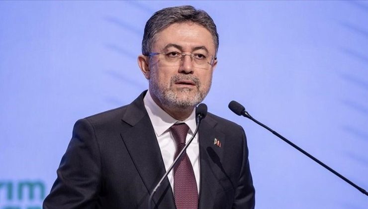 Türkiye’de 131 sulak alan müdafaa altında