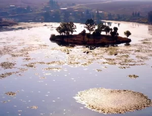 Türkiye’nin Korunan Alan Ziyaretçi Sayısı Rekor Kırdı