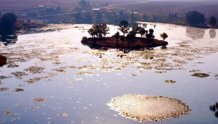 Türkiye’nin Korunan Alan Ziyaretçi Sayısı Rekor Kırdı