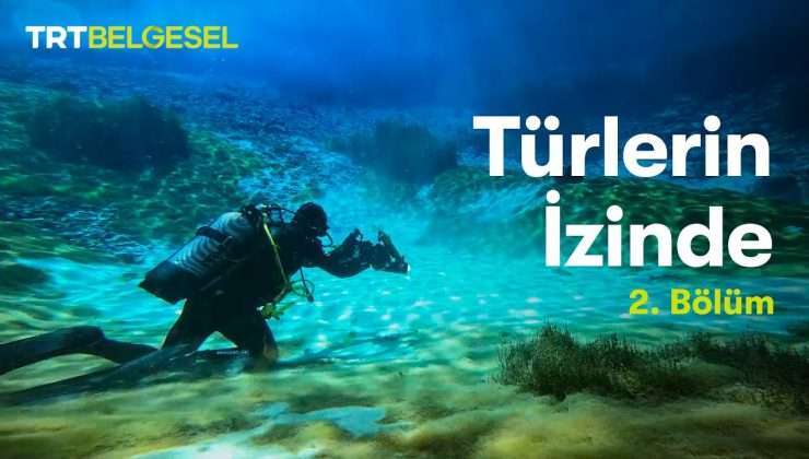 Türlerin İzinde | 2. Bölüm | TRT Belgesel