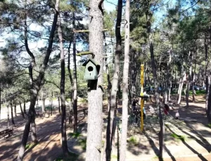 Ümraniye Belediyesi’nden Doğaya Destek: 1100 Kuş Evi yerleştirildi