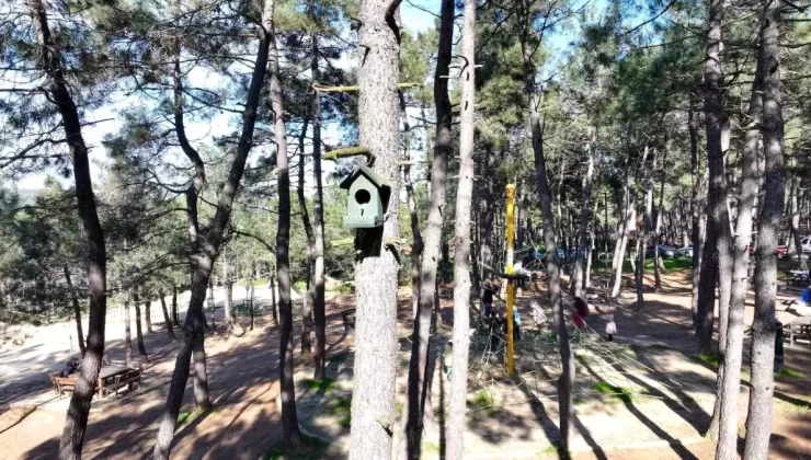 Ümraniye Belediyesi’nden Doğaya Destek: 1100 Kuş Evi yerleştirildi