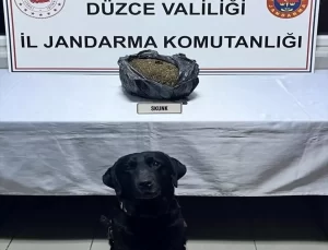 Uyuşturucu ile Yakalanan Şüpheli Tutuklandı