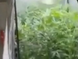 Uyuşturucu imal etmek için evine sistem kurmuş