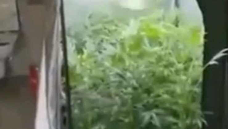 Uyuşturucu imal etmek için evine sistem kurmuş