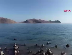 Van Gölü’nde Mikrobiyalitler Karaya Çıkıyor