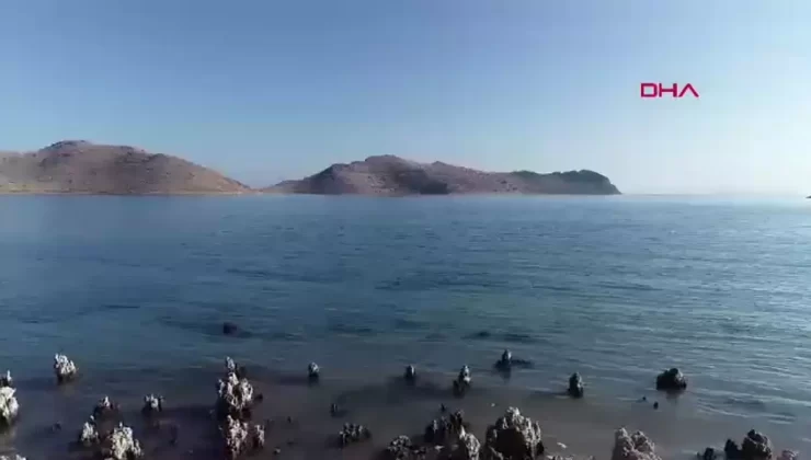Van Gölü’nde Mikrobiyalitler Karaya Çıkıyor