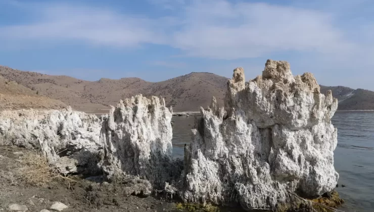 Van Gölü’ndeki Mikrobiyalitler Kuraklıkla Ortaya Çıkıyor