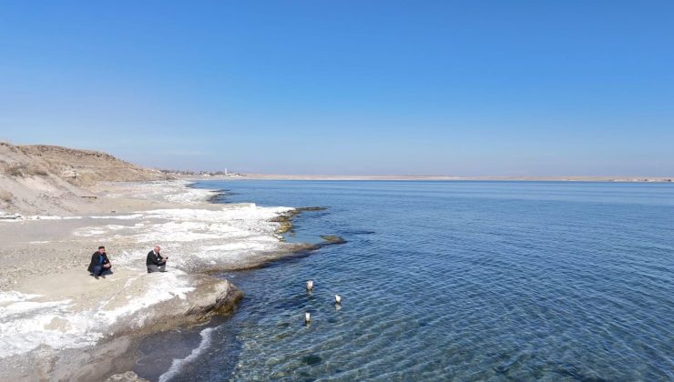 Van Gölü’nün çekilmesiyle gün yüzüne çıktı: Tarihi yapı yine gündeme geldi