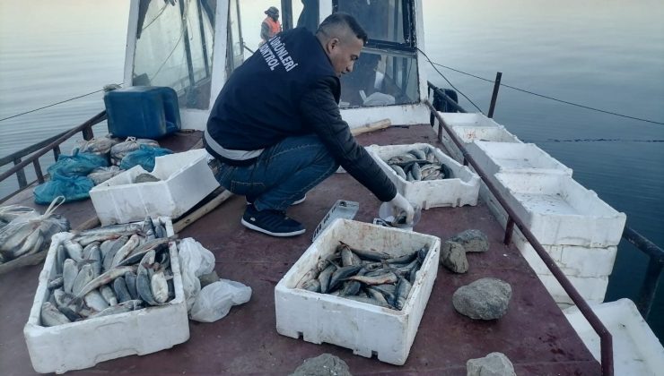 Van’ın ikinci büyük gölü Erçek’te inci kefali rahmeti