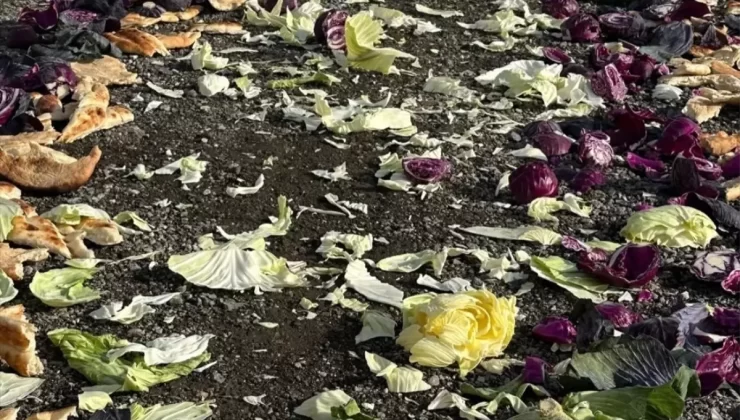 Yaban Hayvanlarına Kış Yardımı