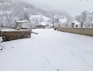 Yakakent’te Kar Yağışı Etkili Oldu