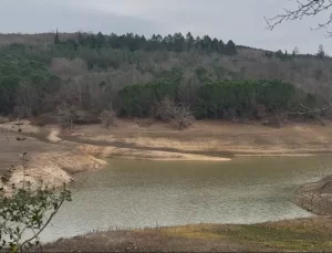 Yalova’da İçme Suyunda Köpük Olayı: Su Risk Taşımıyor