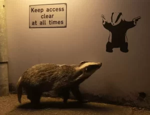 Yılın Yaban Hayatı Fotoğrafı ‘No Access’ Seçildi