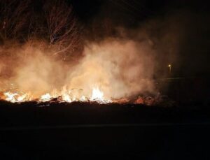 Gece Yarısı Sakarya’da Orman Yangını Paniği!