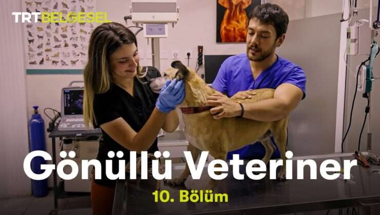 Gönüllü Veteriner | 10. Bölüm | TRT Belgesel