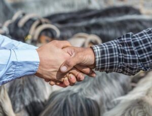 Kurban Bayramı ne zaman, hangi tarihte başlıyor? 2025 Kurban Bayramı tatili başlangıç ve bitiş tarihi!