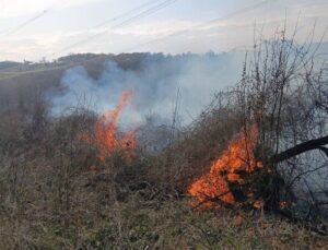 Sakarya’da Çalılık Alanda Çıkan Yangın Kısa Sürede Söndürüldü