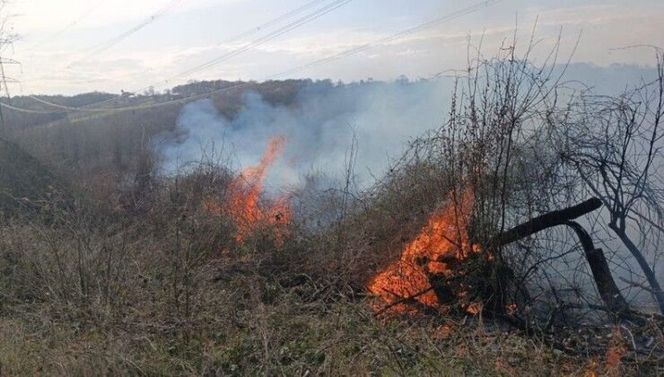 Sakarya’da Çalılık Alanda Çıkan Yangın Kısa Sürede Söndürüldü