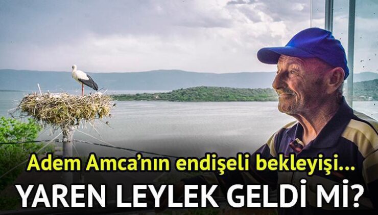 Yaren Leylek bu yıl (2025) geldi mi, yaşıyor mu, neden gelmedi? Adem Amca’nın gözü yollarda! 14 yıllık dostluk…