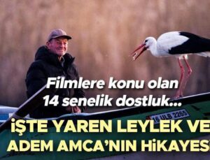 Yaren Leylek ve Adem Amca’nın hikayesi: Filmlere konu olan yılların dostluğu… 14’üncü kez buluştular! Balıkçı Adem ve Yaren Leylek nerede, hikayesi nedir?