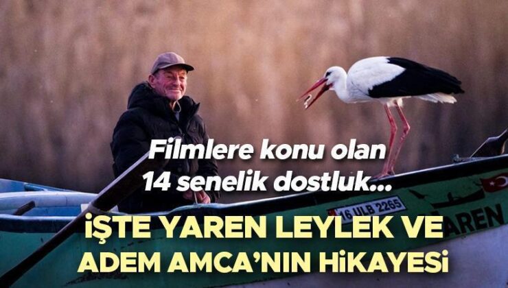 Yaren Leylek ve Adem Amca’nın hikayesi: Filmlere konu olan yılların dostluğu… 14’üncü kez buluştular! Balıkçı Adem ve Yaren Leylek nerede, hikayesi nedir?